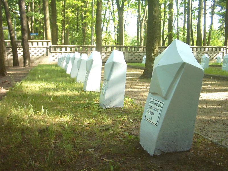 cmentarz ?o?n. radzieckich (5)