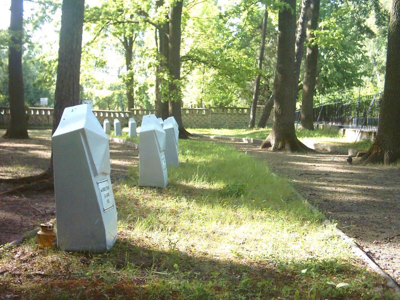 cmentarz ?o?n. radzieckich (7)